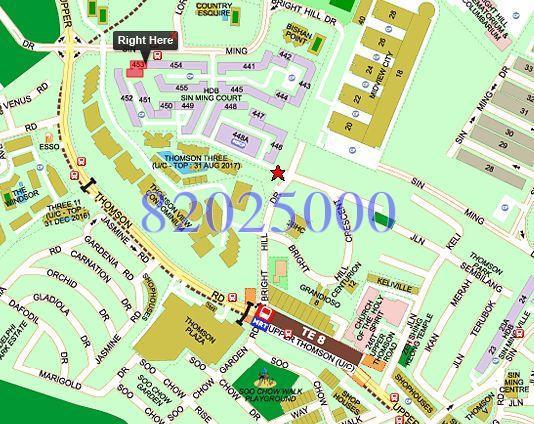 Blk 453 Sin Ming Avenue (Bishan), HDB 5 Rooms #152631522